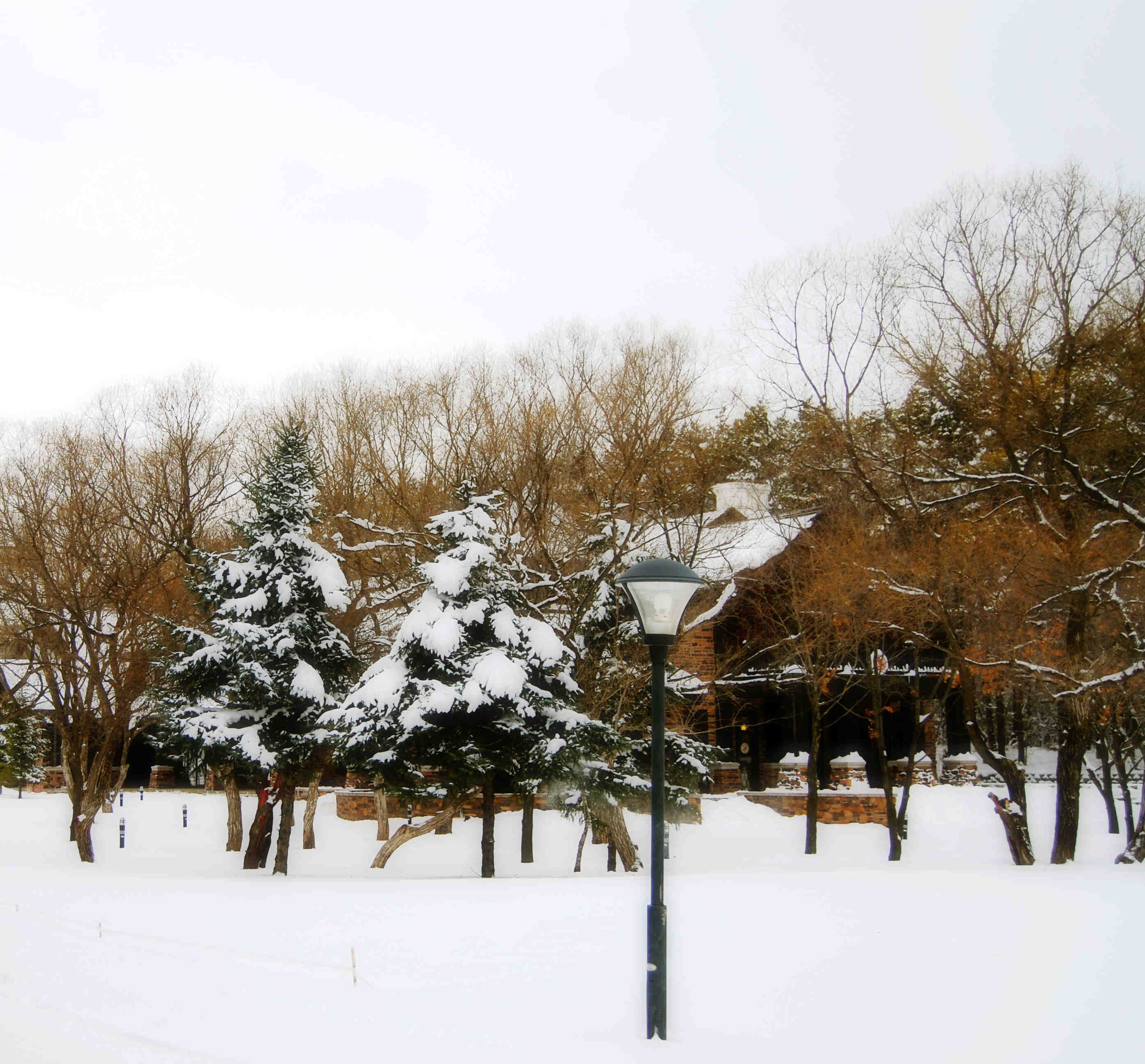 You are currently viewing Snow!